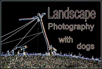 image for Landscape Photography With Dogs